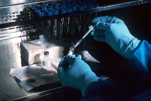 corona covid 19 vaccine 