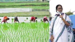 mamta famers