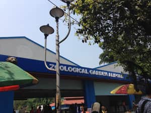 alipore zoo