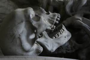 human skull