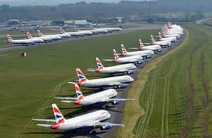 India bans UK flights | Bengali News