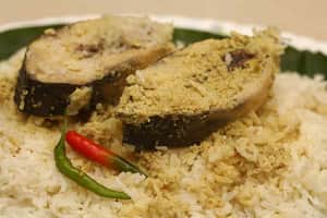 Fish rice 