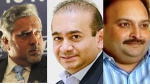 vijay malia mehul choksi nirav modi