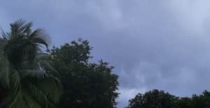 Rainy weather "গগনে গরজে মেঘ ঘন বরষা"