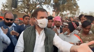 rahul gandhi amethi