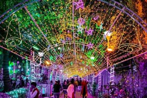 Allen park | Bengali News