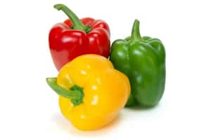 Capsicum