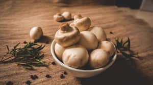 mushroom health benifits | Bengali News