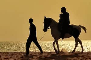 Horse Riding