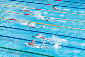 Swimming 1