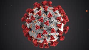 corona virus করোনা ভাইরাস