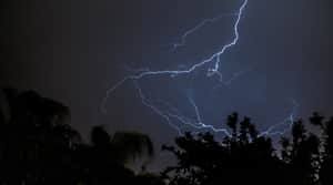 Lightning dark sky rain forest