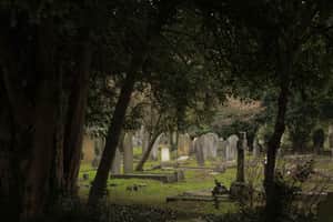 graveyard