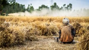 Farmer field sitting