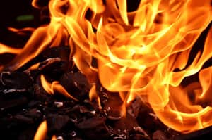 fire factory fire-fighting | Bengali News