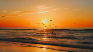 Sunset sea beach Digha 