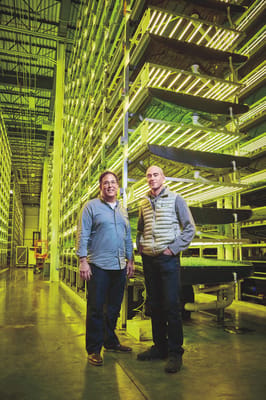 vertical farming 3