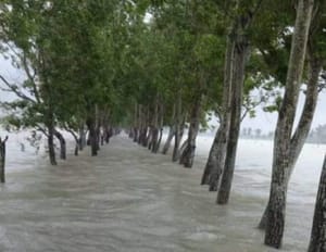 Rainfall alert