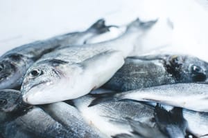 fish market bucket display