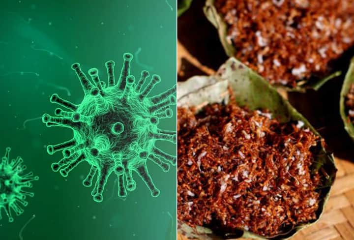 red ant chutney corona Bengali News