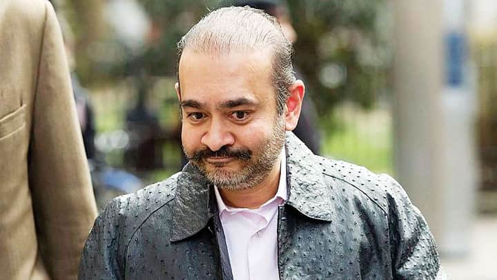 nirav modi sad | Bengali News