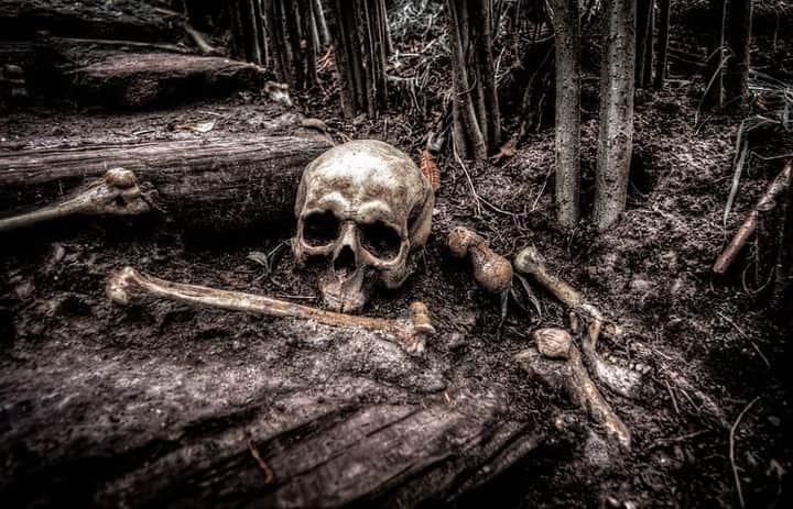 Durgapur skeleton case | Bengali News