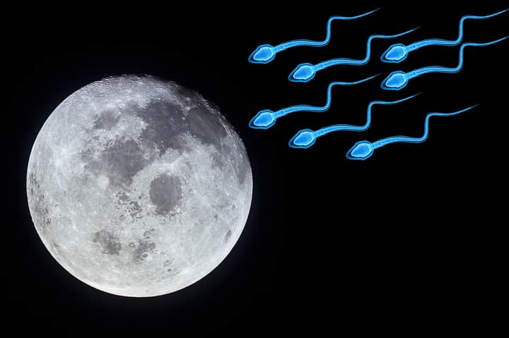sperm going moon Bengali News