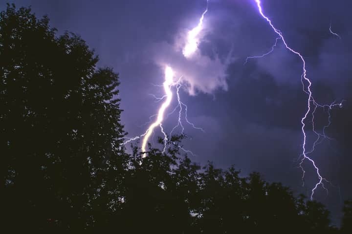 cyclone lighting night tree yash Bengali News