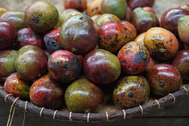Mango Bengali News