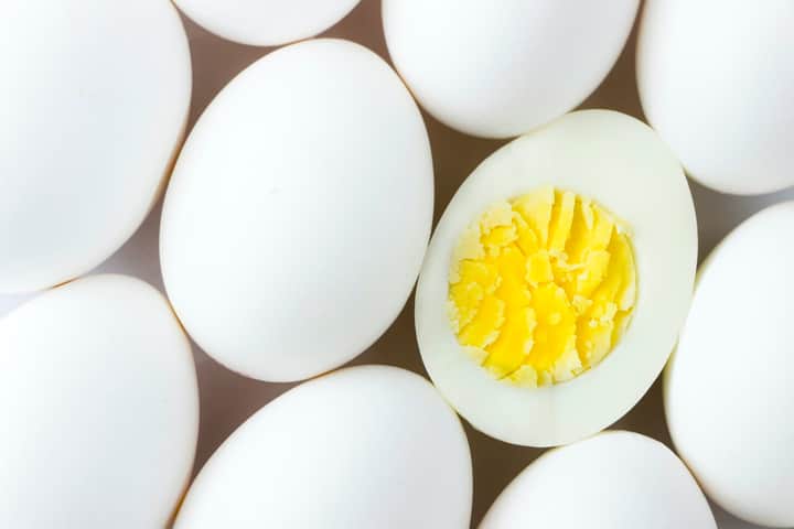 Egg Bengali News