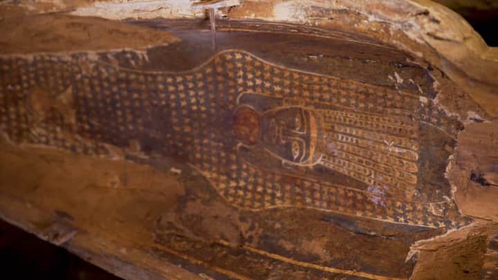 egypt excavation coffin Bengali News